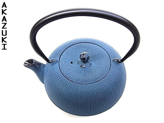 Nanbu teapot Hiramaru CAST IRON TEAPOTS TEAPOTS